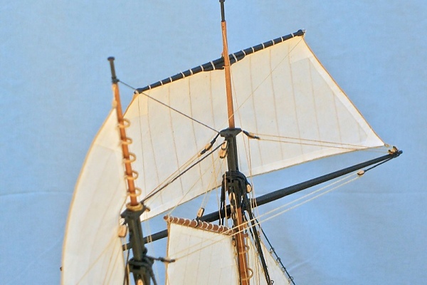 Image of Privateer Lively