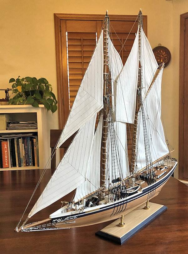 Image of Yuanqing Bluenose