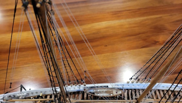 Image of Bluenose