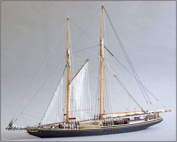 Image of Yuanqing Bluenose