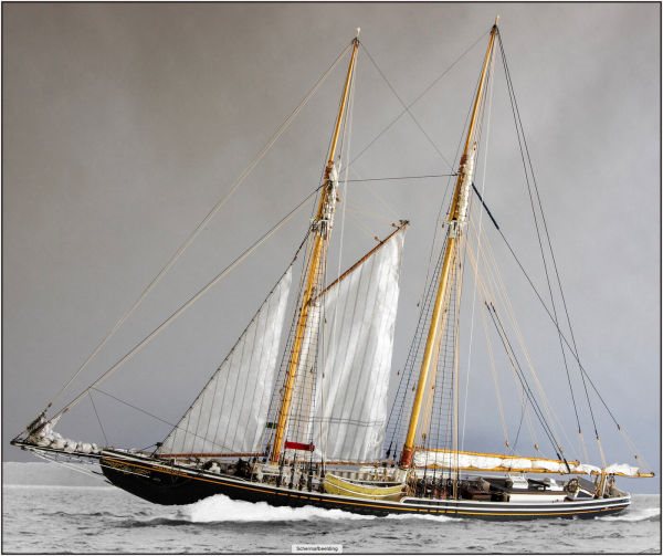 Image of Yuanqing Bluenose