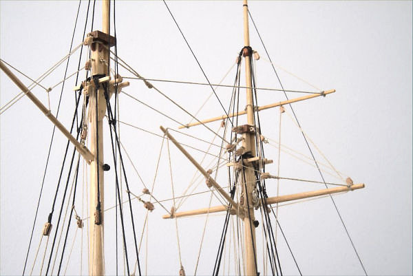 Image of Port Jackson Schooner